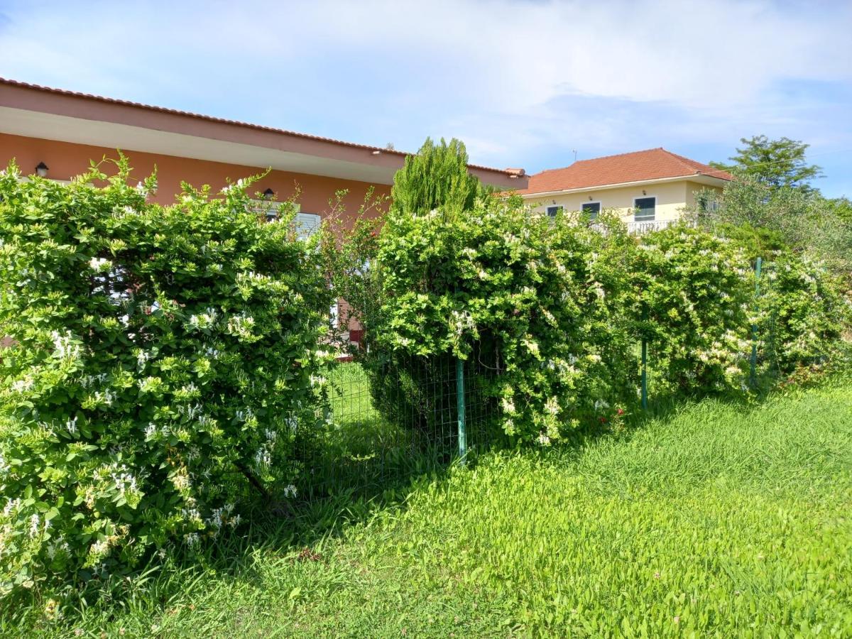 Kostas Apartments Sidari  Luaran gambar